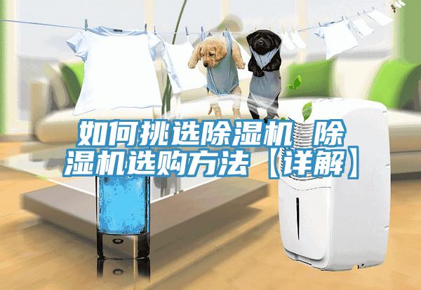 如何挑選除濕機 除濕機選購方法【詳解】