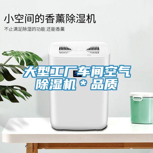 大型工廠車間空氣除濕機＊品質