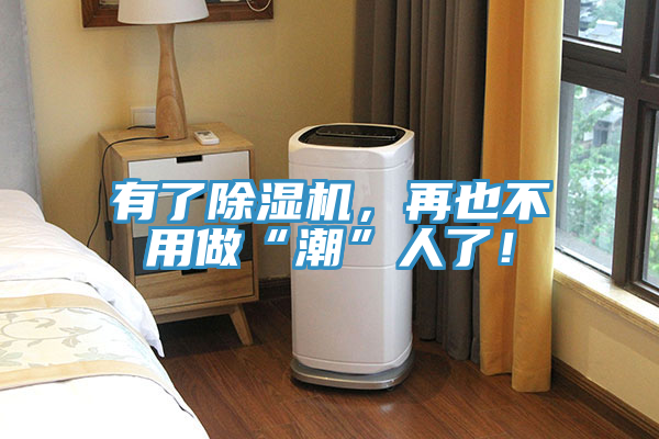 有了除濕機，再也不用做“潮”人了！