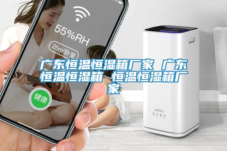 廣東恒溫恒濕箱廠家 廣東恒溫恒濕箱 恒溫恒濕箱廠家