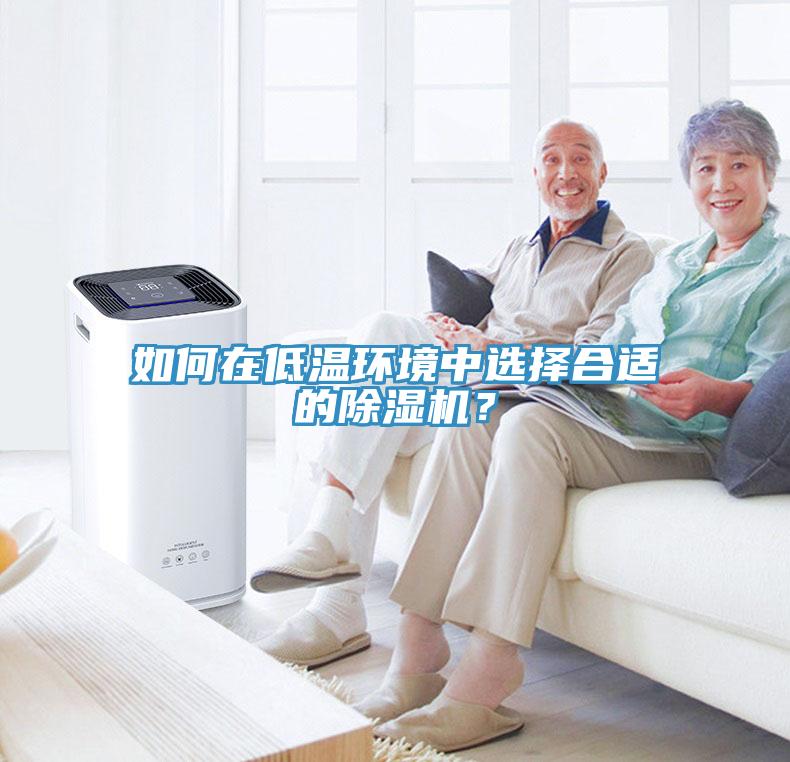 如何在低溫環境中選擇合適的除濕機？