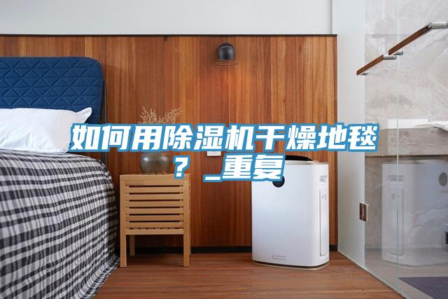 如何用除濕機干燥地毯？_重復