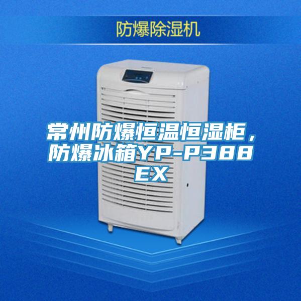 常州防爆恒溫恒濕柜，防爆冰箱YP-P388EX