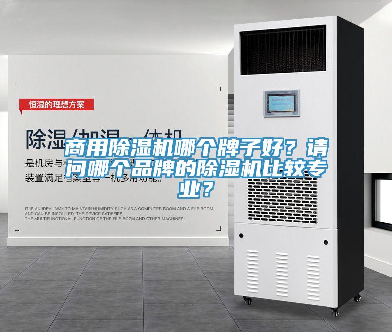商用除濕機哪個牌子好？請問哪個品牌的除濕機比較專業？