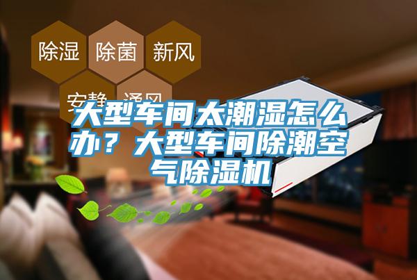 大型車間太潮濕怎么辦？大型車間除潮空氣除濕機
