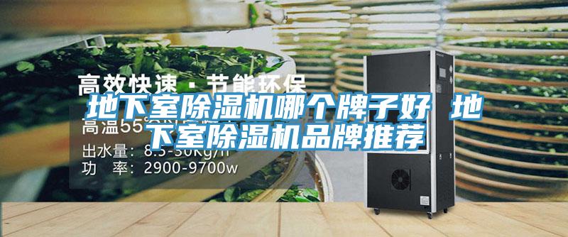 地下室除濕機哪個牌子好 地下室除濕機品牌推薦