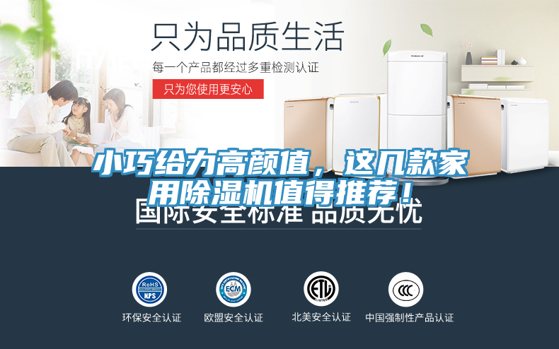 小巧給力高顏值，這幾款家用除濕機值得推薦！