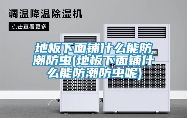 地板下面鋪什么能防潮防蟲(地板下面鋪什么能防潮防蟲呢)