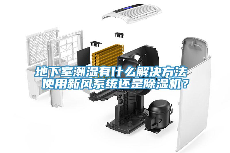 地下室潮濕有什么解決方法 使用新風系統還是除濕機？