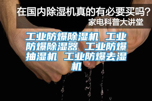 工業防爆除濕機 工業防爆除濕器 工業防爆抽濕機 工業防爆去濕機