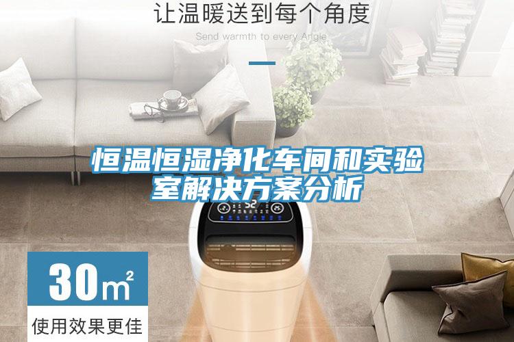 恒溫恒濕凈化車間和實驗室解決方案分析