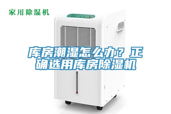 庫房潮濕怎么辦？正確選用庫房除濕機