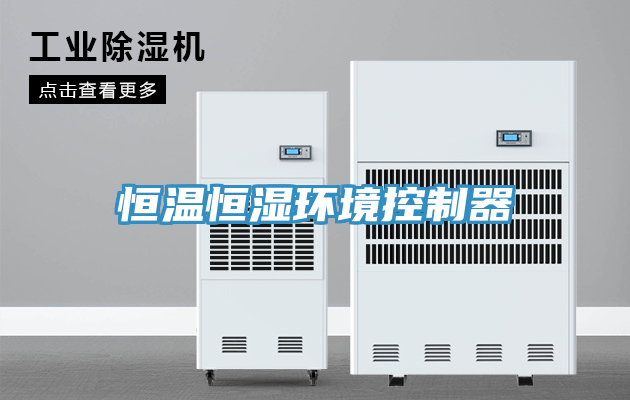 恒溫恒濕環境控制器