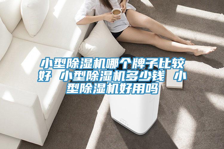 小型除濕機哪個牌子比較好 小型除濕機多少錢 小型除濕機好用嗎