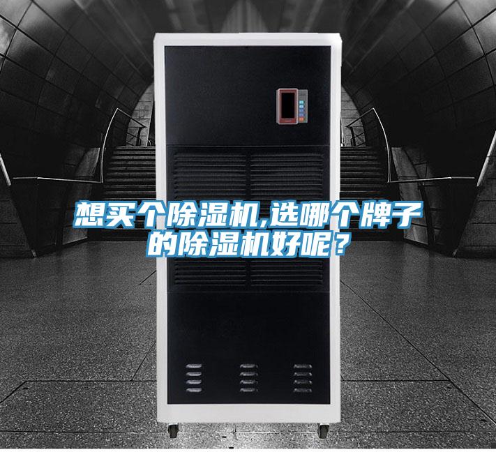 想買個除濕機,選哪個牌子的除濕機好呢？