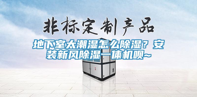 地下室太潮濕怎么除濕？安裝新風除濕一體機唄~