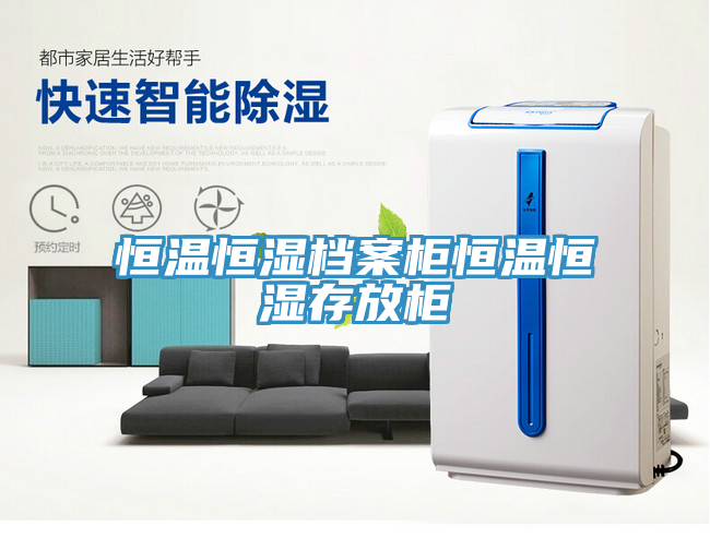 恒溫恒濕檔案柜恒溫恒濕存放柜