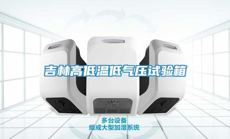 吉林高低溫低氣壓試驗箱