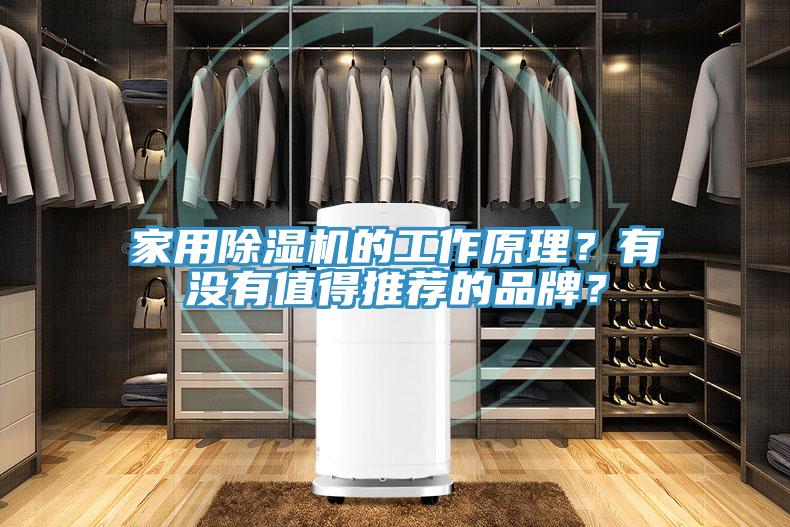 家用除濕機的工作原理？有沒有值得推薦的品牌？