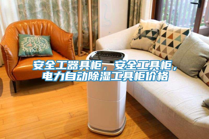 安全工器具柜，安全工具柜，電力自動除濕工具柜價格