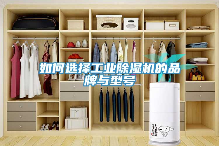 如何選擇工業除濕機的品牌與型號
