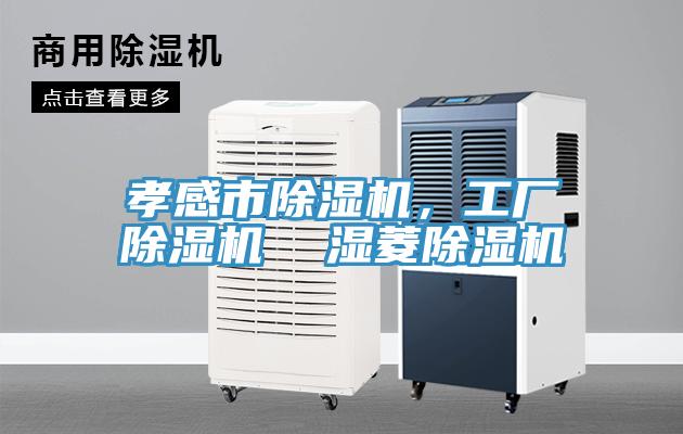 孝感市除濕機，工廠除濕機  濕菱除濕機