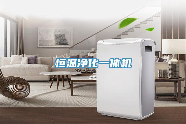 恒溫凈化一體機