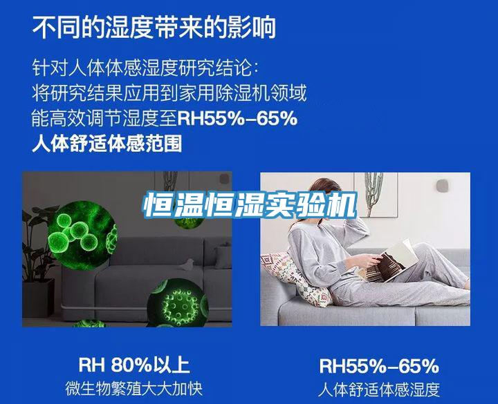 恒溫恒濕實驗機