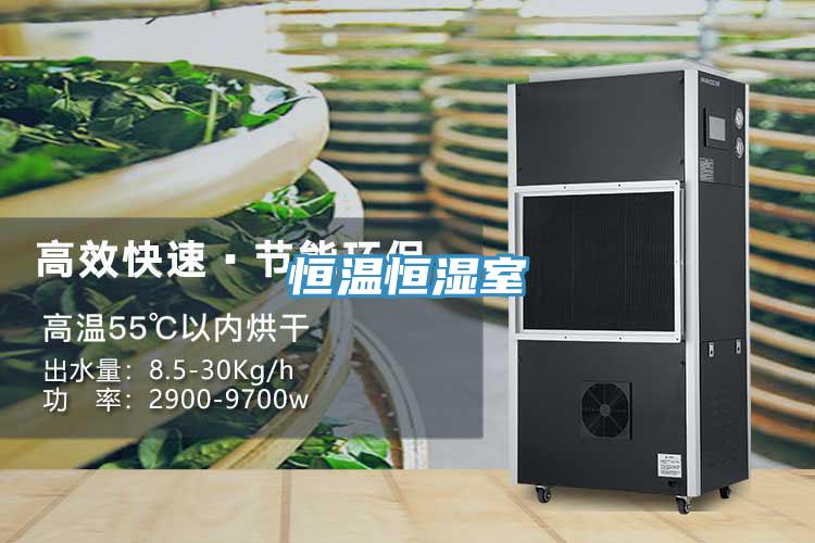 恒溫恒濕室