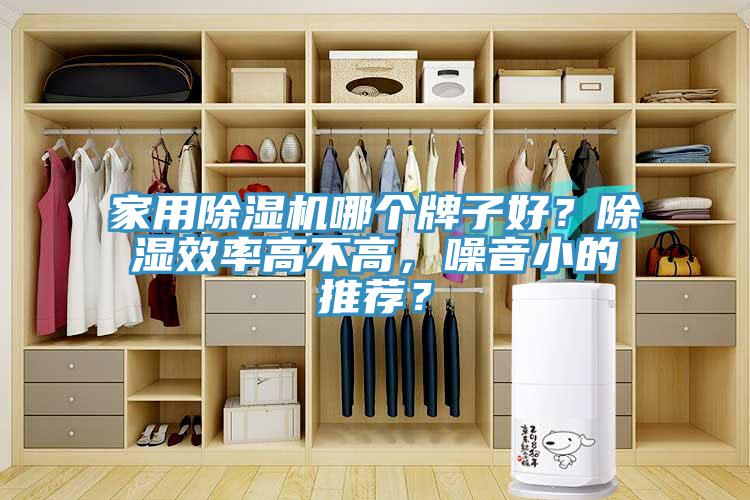 家用除濕機哪個牌子好？除濕效率高不高，噪音小的推薦？
