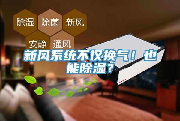 新風系統不僅換氣！也能除濕？