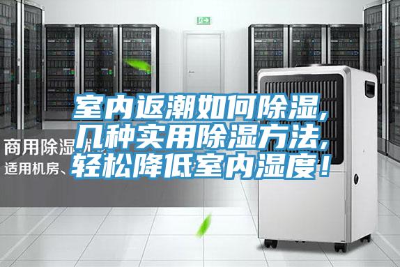 室內返潮如何除濕,幾種實用除濕方法,輕松降低室內濕度！