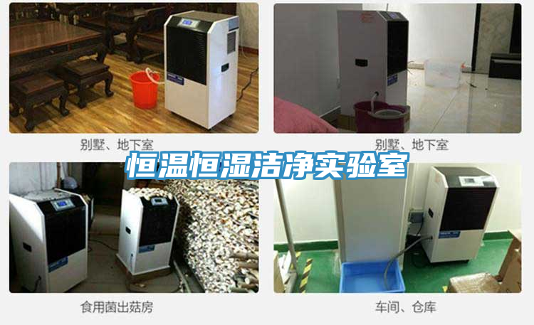 恒溫恒濕潔凈實驗室