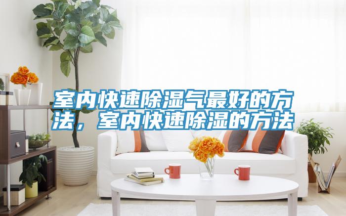 室內快速除濕氣最好的方法，室內快速除濕的方法