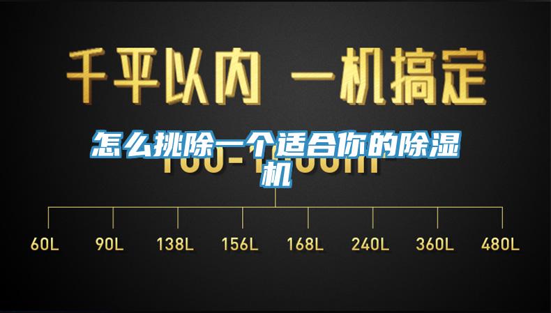 怎么挑除一個適合你的除濕機