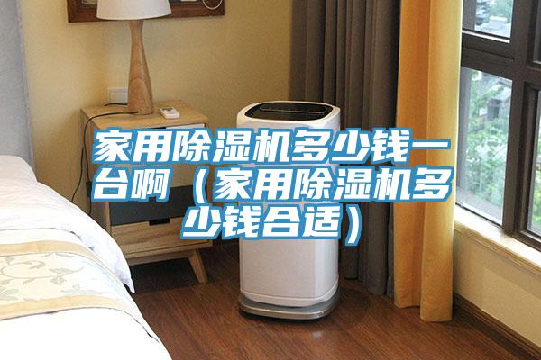 家用除濕機多少錢一臺?。矣贸凉駲C多少錢合適）