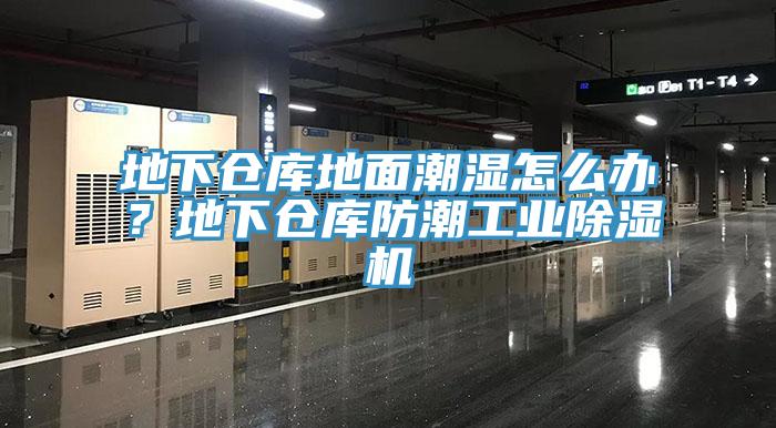 地下倉庫地面潮濕怎么辦？地下倉庫防潮工業除濕機