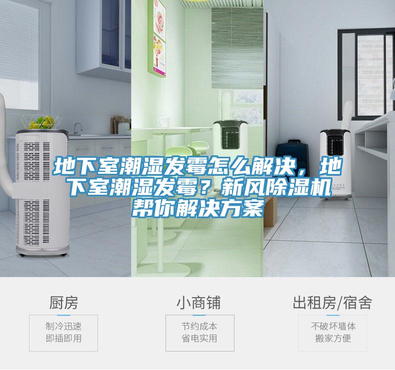 地下室潮濕發霉怎么解決，地下室潮濕發霉？新風除濕機幫你解決方案