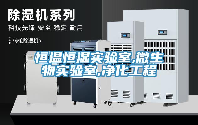 恒溫恒濕實驗室,微生物實驗室,凈化工程