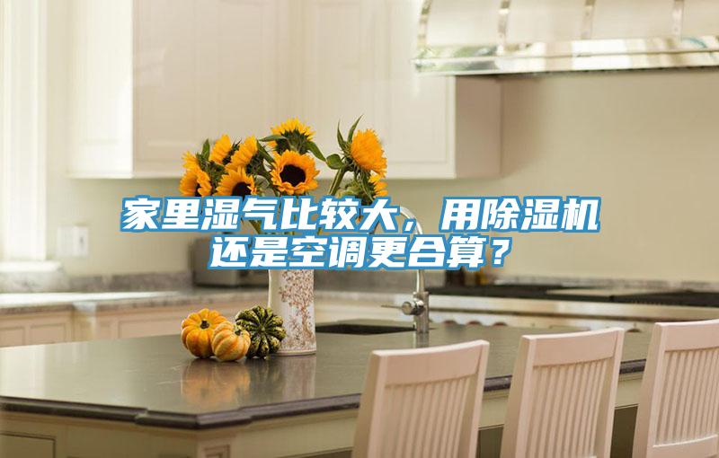 家里濕氣比較大，用除濕機還是空調更合算？