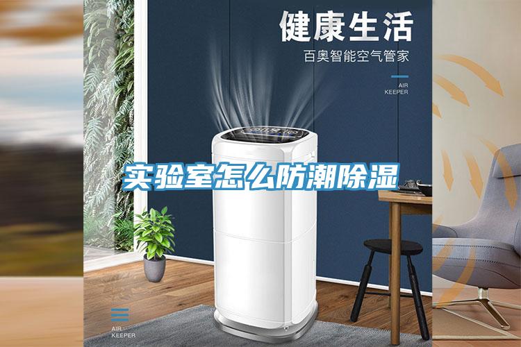 實驗室怎么防潮除濕