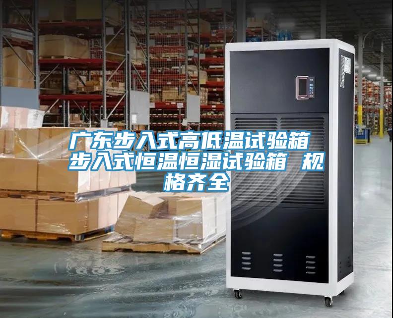廣東步入式高低溫試驗箱 步入式恒溫恒濕試驗箱 規格齊全