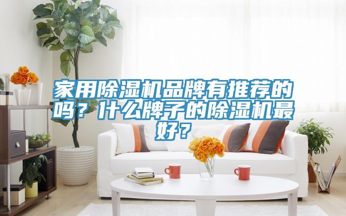 家用除濕機品牌有推薦的嗎？什么牌子的除濕機最好？