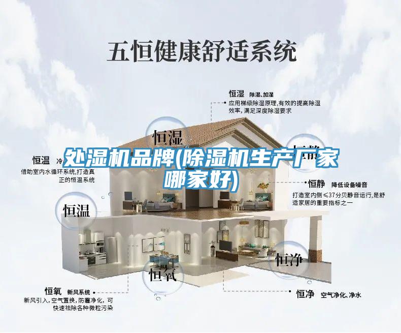 處濕機品牌(除濕機生產廠家哪家好)