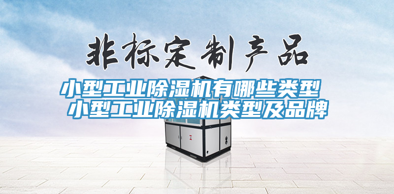 小型工業除濕機有哪些類型 小型工業除濕機類型及品牌