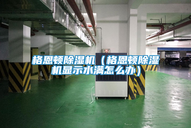 格恩頓除濕機（格恩頓除濕機顯示水滿怎么辦）