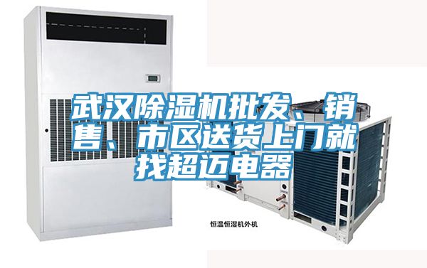 武漢除濕機批發、銷售、市區送貨上門就找超邁電器