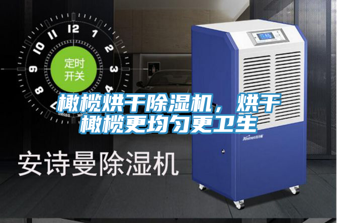 橄欖烘干除濕機，烘干橄欖更均勻更衛生