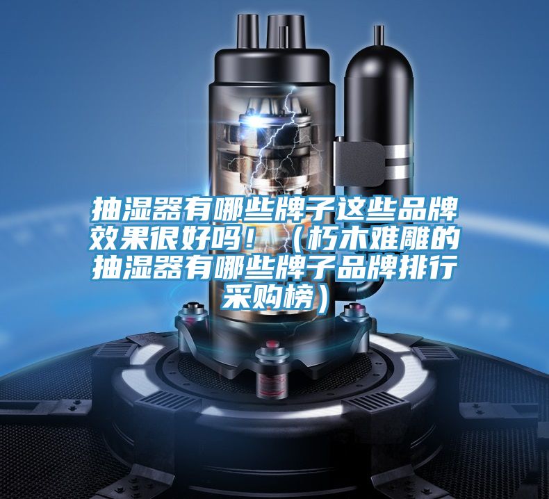 抽濕器有哪些牌子這些品牌效果很好嗎?。ㄐ嗄倦y雕的抽濕器有哪些牌子品牌排行采購榜）