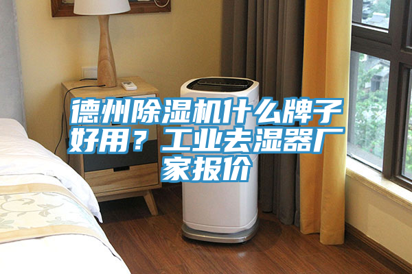 德州除濕機什么牌子好用？工業去濕器廠家報價